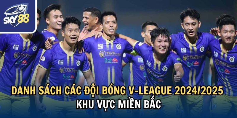 Danh sách các đội bóng V-League 2024/2025 khu vực miền Bắc