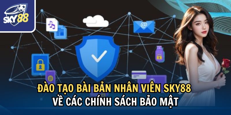 Đào tạo bài bản nhân viên Sky88 về các chính sách bảo mật